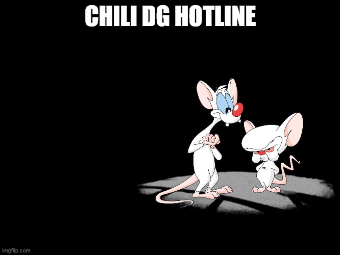 Pinky And The Brain | CHILI DG HOTLINE | image tagged in pinky and the brain | made w/ Imgflip meme maker