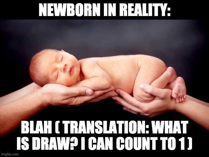 Newborn | NEWBORN IN REALITY: BLAH ( TRANSLATION: WHAT IS DRAW? I CAN COUNT TO 1 ) | image tagged in newborn | made w/ Imgflip meme maker