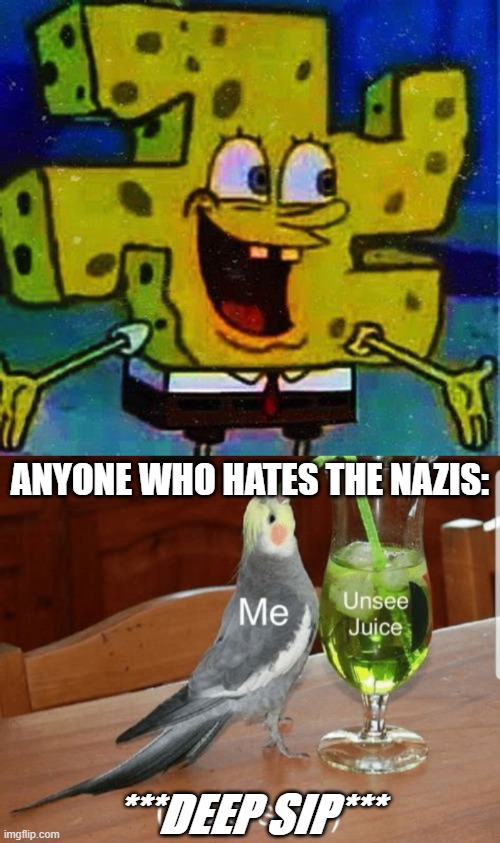 SCREW HITLER | ANYONE WHO HATES THE NAZIS:; ***DEEP SIP*** | image tagged in unsee juice | made w/ Imgflip meme maker
