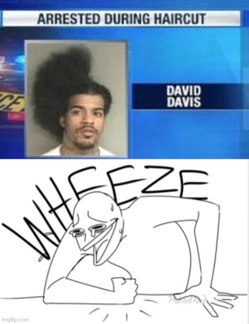 Bad Hair Day | image tagged in wheeze,wtf,laugh,upvote,ha ha | made w/ Imgflip meme maker
