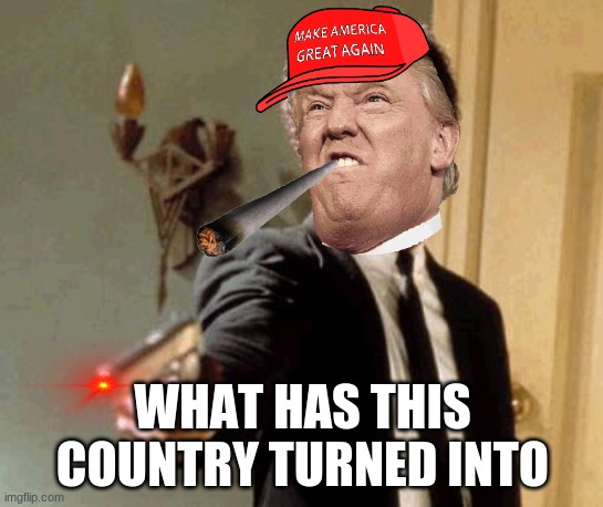 Say That Again I Dare You | WHAT HAS THIS COUNTRY TURNED INTO | image tagged in memes,say that again i dare you | made w/ Imgflip meme maker