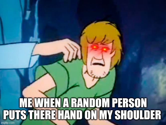 Shaggy meme | ME WHEN A RANDOM PERSON PUTS THERE HAND ON MY SHOULDER | image tagged in shaggy meme | made w/ Imgflip meme maker
