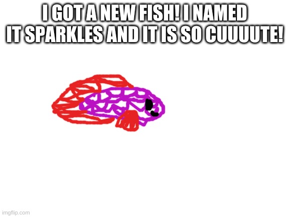 narf | I GOT A NEW FISH! I NAMED IT SPARKLES AND IT IS SO CUUUUTE! | image tagged in blank white template | made w/ Imgflip meme maker