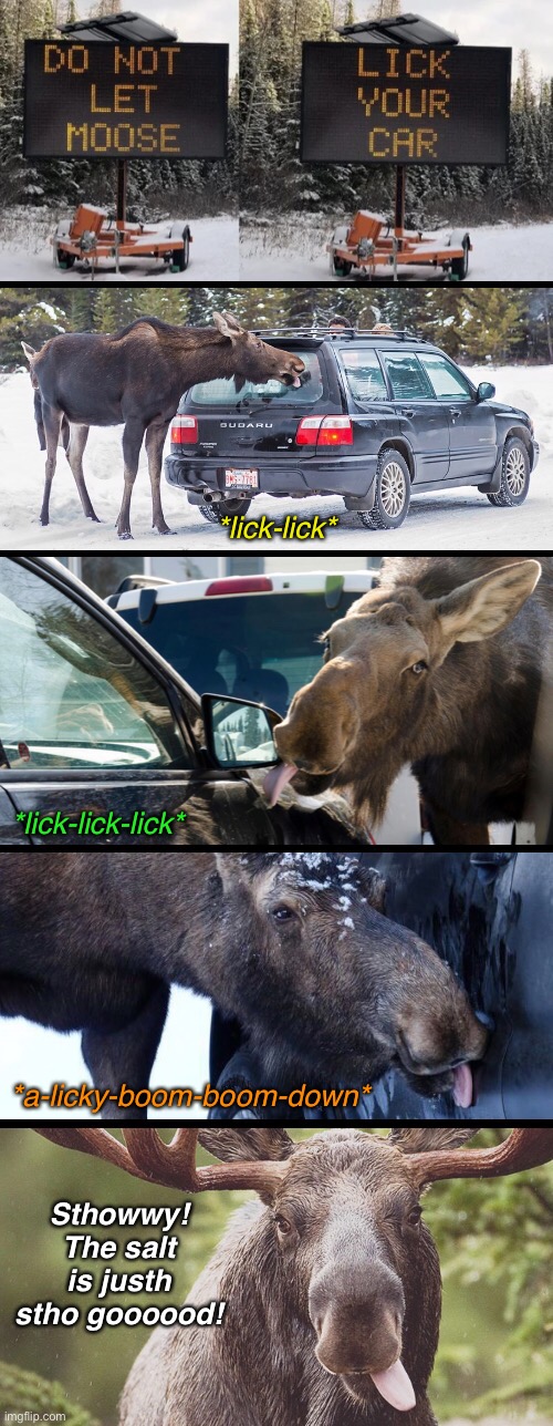 In the Salty Snow | *lick-lick*; *lick-lick-lick*; *a-licky-boom-boom-down*; Sthowwy! The salt is justh stho goooood! | image tagged in funny memes,winter,moose,snow,salty | made w/ Imgflip meme maker