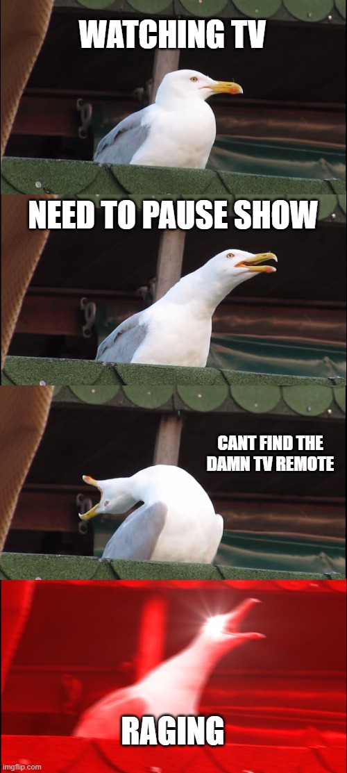 THIS IS HAPPENING AT THIS MOMENT | WATCHING TV; NEED TO PAUSE SHOW; CANT FIND THE DAMN TV REMOTE; RAGING | image tagged in memes,inhaling seagull | made w/ Imgflip meme maker