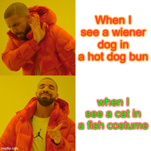 Drake Hotline Bling Meme | When I see a wiener dog in a hot dog bun; when I see a cat in a fish costume | image tagged in memes,drake hotline bling | made w/ Imgflip meme maker