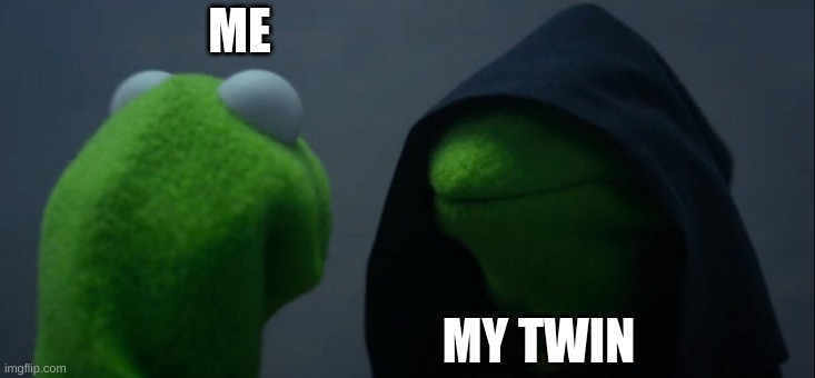 Twins be like: | ME; MY TWIN | image tagged in memes,evil kermit | made w/ Imgflip meme maker