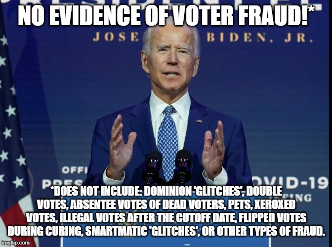 No evidence of voter fraud | NO EVIDENCE OF VOTER FRAUD!*; *DOES NOT INCLUDE: DOMINION 'GLITCHES', DOUBLE VOTES, ABSENTEE VOTES OF DEAD VOTERS, PETS, XEROXED VOTES, ILLEGAL VOTES AFTER THE CUTOFF DATE, FLIPPED VOTES DURING CURING, SMARTMATIC 'GLITCHES', OR OTHER TYPES OF FRAUD. | image tagged in voter fraud,election 2020,biden,trump | made w/ Imgflip meme maker