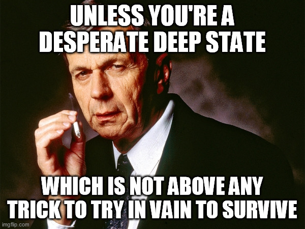 Cigarette Smoking Man | UNLESS YOU'RE A DESPERATE DEEP STATE WHICH IS NOT ABOVE ANY TRICK TO TRY IN VAIN TO SURVIVE | image tagged in cigarette smoking man | made w/ Imgflip meme maker