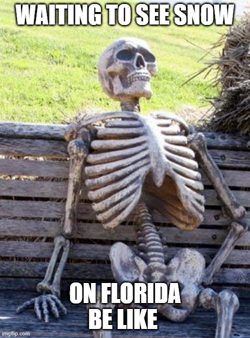 Waiting Skeleton | WAITING TO SEE SNOW; ON FLORIDA BE LIKE | image tagged in memes,waiting skeleton | made w/ Imgflip meme maker
