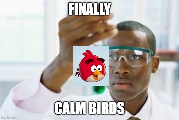 calm birds | FINALLY; CALM BIRDS | image tagged in finally,angry birds | made w/ Imgflip meme maker