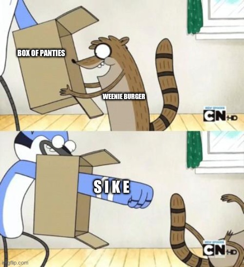 why the panties yeah why | BOX OF PANTIES; WEENIE BURGER; S I K E | image tagged in mordecai punches rigby through a box | made w/ Imgflip meme maker