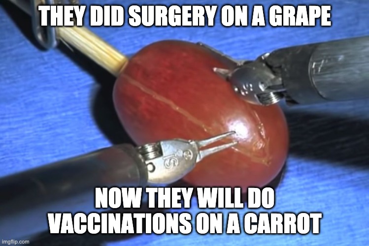 They did surgery on a grape | THEY DID SURGERY ON A GRAPE NOW THEY WILL DO VACCINATIONS ON A CARROT | image tagged in they did surgery on a grape | made w/ Imgflip meme maker