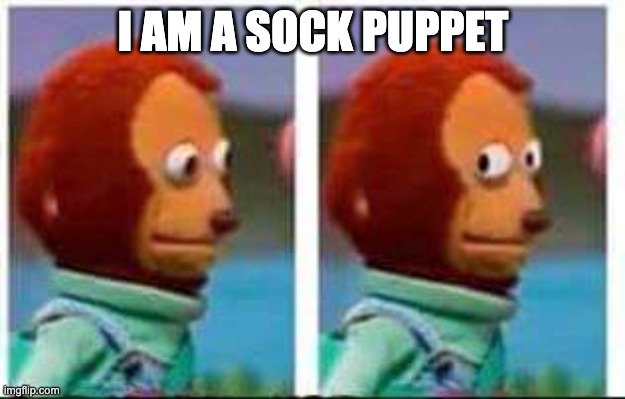 Monkey Puppet | I AM A SOCK PUPPET | image tagged in monkey puppet | made w/ Imgflip meme maker