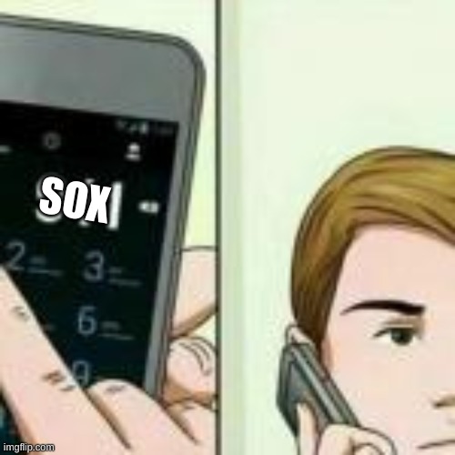 SOX | made w/ Imgflip meme maker