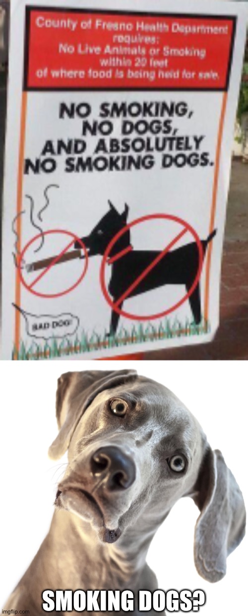 LOL | SMOKING DOGS? | image tagged in confused dog,memes,funny,dogs,stupid signs | made w/ Imgflip meme maker