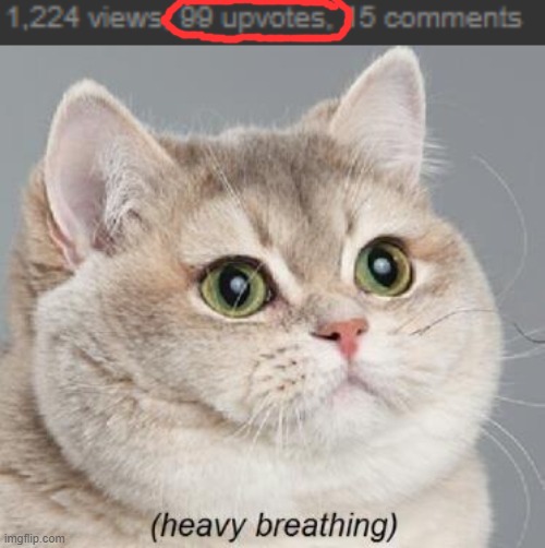 One more. | image tagged in memes,heavy breathing cat | made w/ Imgflip meme maker