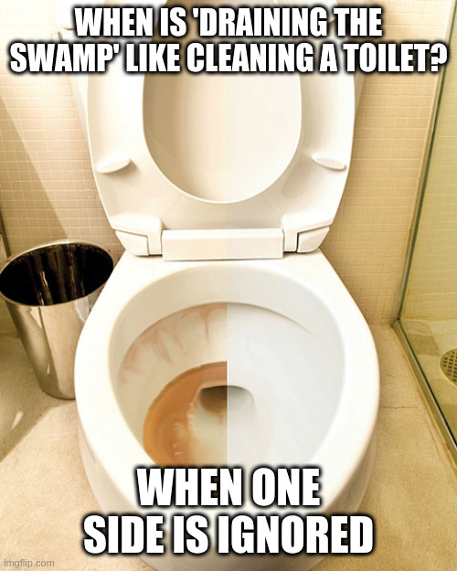 too esoteric for Politics | WHEN IS 'DRAINING THE SWAMP' LIKE CLEANING A TOILET? WHEN ONE SIDE IS IGNORED | image tagged in half cleaned toilet | made w/ Imgflip meme maker