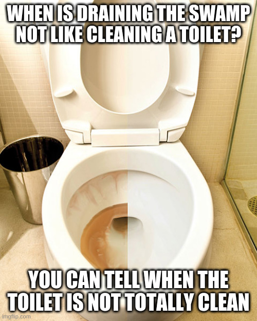 so many swamp creatures still on the government teat | WHEN IS DRAINING THE SWAMP NOT LIKE CLEANING A TOILET? YOU CAN TELL WHEN THE TOILET IS NOT TOTALLY CLEAN | image tagged in half cleaned toilet,swamp | made w/ Imgflip meme maker