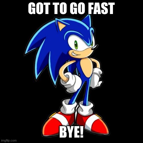 You're Too Slow Sonic Meme | GOT TO GO FAST BYE! | image tagged in memes,you're too slow sonic | made w/ Imgflip meme maker