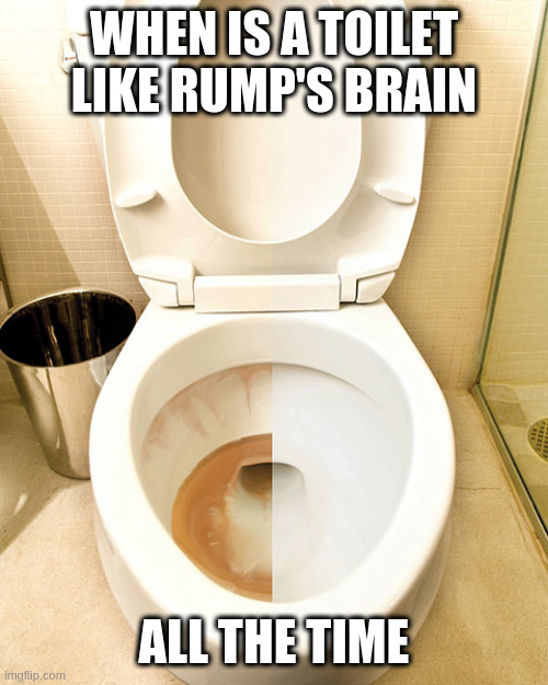 half cleaned toilet | WHEN IS A TOILET LIKE RUMP'S BRAIN; ALL THE TIME | image tagged in half cleaned toilet | made w/ Imgflip meme maker