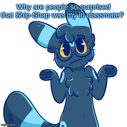 He's actually a pretty nice guy. | Why are people so surprised that Ship-Shap was my irl classmate? | image tagged in umbreon shrug | made w/ Imgflip meme maker