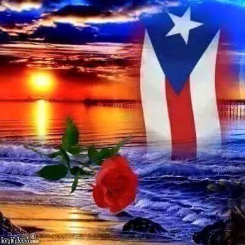 Puerto Rico’s statehood referendum: You may not have heard of it, but it could be the most consequential vote of all | image tagged in puerto rico,election 2020,2020 elections,united states,united states of america,america | made w/ Imgflip meme maker
