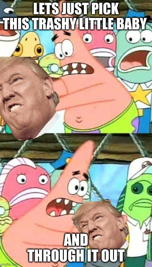 Put It Somewhere Else Patrick Meme | LETS JUST PICK THIS TRASHY LITTLE BABY; AND THROUGH IT OUT | image tagged in memes,put it somewhere else patrick | made w/ Imgflip meme maker