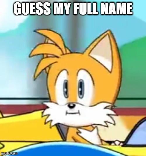 Tails hold up | GUESS MY FULL NAME | image tagged in tails hold up | made w/ Imgflip meme maker