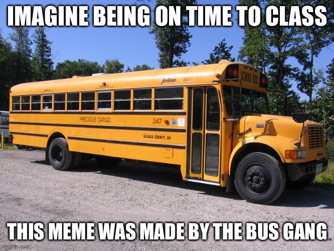 school bus | IMAGINE BEING ON TIME TO CLASS; THIS MEME WAS MADE BY THE BUS GANG | image tagged in school bus | made w/ Imgflip meme maker