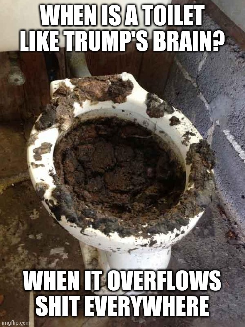 toilet | WHEN IS A TOILET LIKE TRUMP'S BRAIN? WHEN IT OVERFLOWS SHIT EVERYWHERE | image tagged in toilet | made w/ Imgflip meme maker