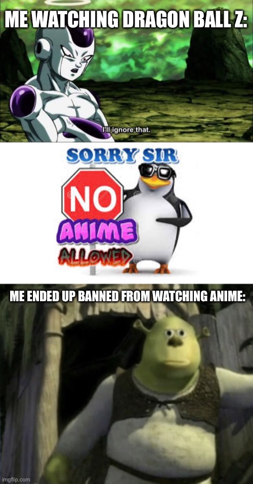 Sorry, if you’re caught watching anime, you’ll get face swap. | ME WATCHING DRAGON BALL Z:; ME ENDED UP BANNED FROM WATCHING ANIME: | image tagged in no anime allowed,shocked shrek face swap,dragon ball z,memes,anime | made w/ Imgflip meme maker