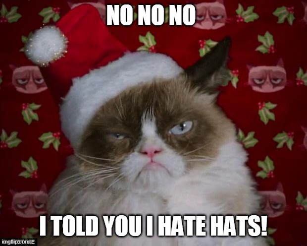 No no no | NO NO NO; I TOLD YOU I HATE HATS! | image tagged in grumpy cat christmas | made w/ Imgflip meme maker
