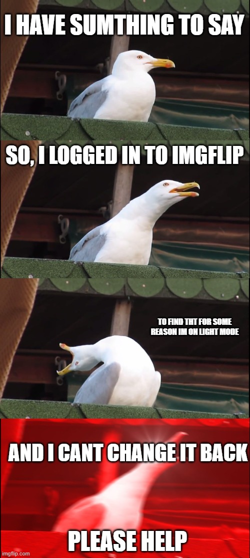Inhaling Seagull | I HAVE SUMTHING TO SAY; SO, I LOGGED IN TO IMGFLIP; TO FIND THT FOR SOME REASON IM ON LIGHT MODE; AND I CANT CHANGE IT BACK; PLEASE HELP | image tagged in memes,inhaling seagull | made w/ Imgflip meme maker