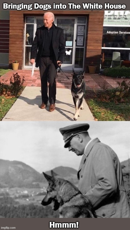 Biden Hitler | image tagged in biden,hitler,dogs | made w/ Imgflip meme maker