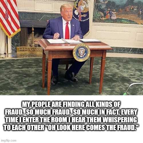 Well they found one at least | MY PEOPLE ARE FINDING ALL KINDS OF FRAUD.  SO MUCH FRAUD.  SO MUCH IN FACT, EVERY TIME I ENTER THE ROOM I HEAR THEM WHISPERING TO EACH OTHER "OH LOOK HERE COMES THE FRAUD." | image tagged in donald trump,special kind of stupid,voter fraud,red hat | made w/ Imgflip meme maker