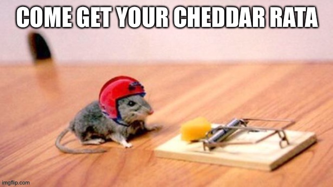 COME GET YOUR CHEDDAR RATA | made w/ Imgflip meme maker