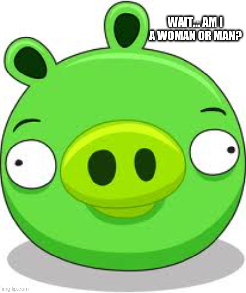 Angry Birds Pig Meme | WAIT... AM I A WOMAN OR MAN? | image tagged in memes,angry birds pig | made w/ Imgflip meme maker