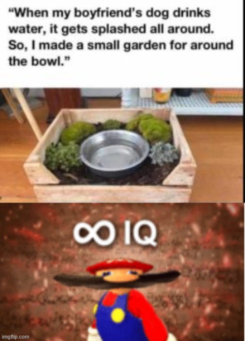 Invest | image tagged in infinite iq | made w/ Imgflip meme maker