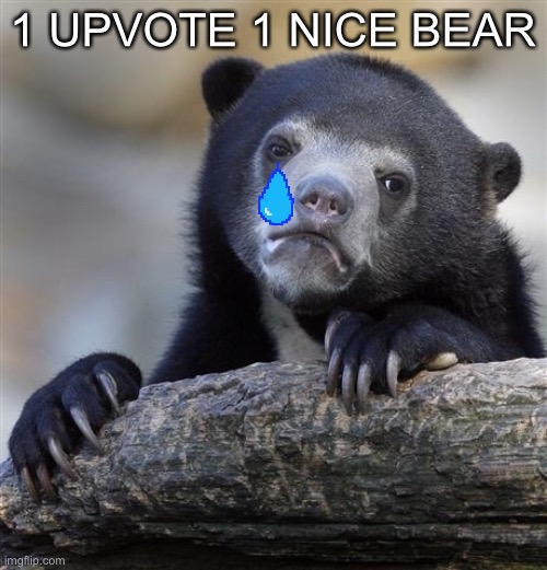 1 upvote 1 nice bear | 1 UPVOTE 1 NICE BEAR | image tagged in memes,confession bear | made w/ Imgflip meme maker