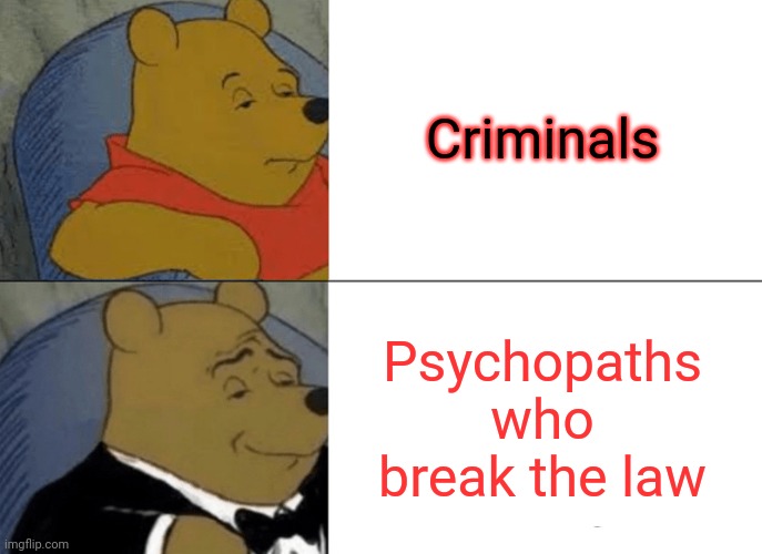Criminal | Criminals; Psychopaths who break the law | image tagged in memes,tuxedo winnie the pooh | made w/ Imgflip meme maker