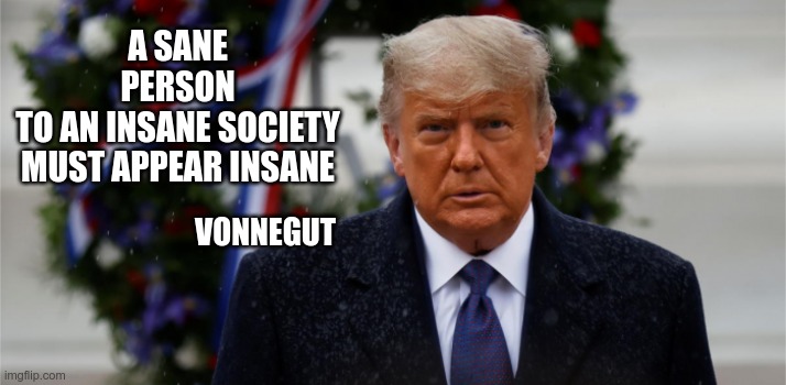 A Canadian Perspective | A SANE PERSON
TO AN INSANE SOCIETY
MUST APPEAR INSANE; VONNEGUT | image tagged in donald j trump,sjw triggered,blm,antifa | made w/ Imgflip meme maker