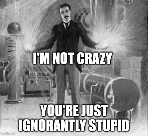 I'M NOT CRAZY; YOU'RE JUST IGNORANTLY STUPID | image tagged in tesla | made w/ Imgflip meme maker
