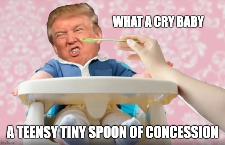 We Are Done with Trump's Whining | WHAT A CRY BABY; A TEENSY TINY SPOON OF CONCESSION | image tagged in loser,biden won,get over it,cry baby,whiner,liar | made w/ Imgflip meme maker