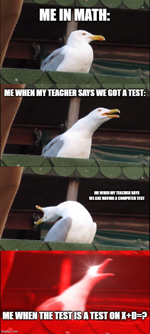 Inhaling Seagull | ME IN MATH:; ME WHEN MY TEACHER SAYS WE GOT A TEST:; ME WHEN MY TEACHER SAYS WE ARE HAVING A COMPUTER TEST; ME WHEN THE TEST IS A TEST ON X+D=? | image tagged in memes,inhaling seagull | made w/ Imgflip meme maker