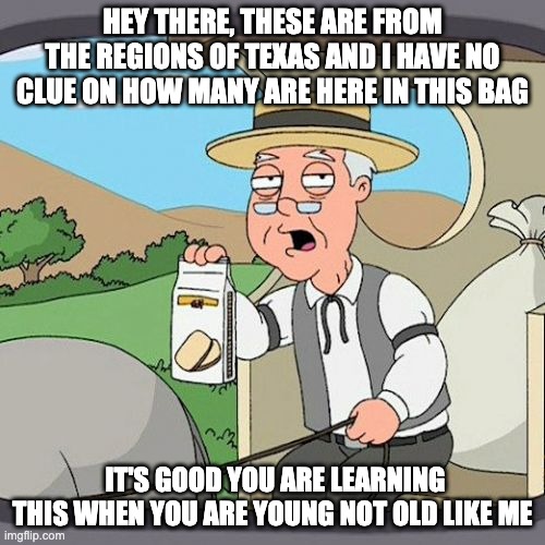 Pepperidge Farm Remembers | HEY THERE, THESE ARE FROM THE REGIONS OF TEXAS AND I HAVE NO CLUE ON HOW MANY ARE HERE IN THIS BAG; IT'S GOOD YOU ARE LEARNING THIS WHEN YOU ARE YOUNG NOT OLD LIKE ME | image tagged in memes,pepperidge farm remembers | made w/ Imgflip meme maker
