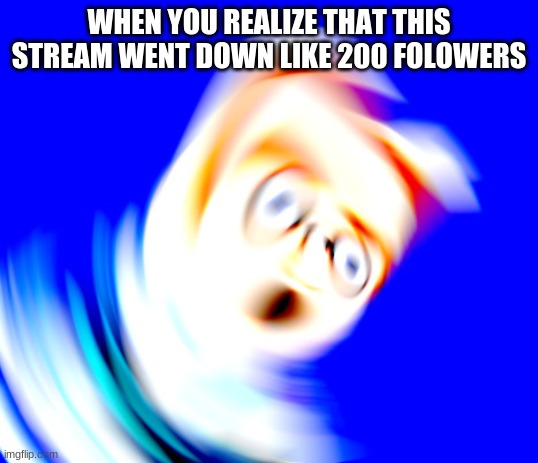 how and why | WHEN YOU REALIZE THAT THIS STREAM WENT DOWN LIKE 200 FOLOWERS | image tagged in meme | made w/ Imgflip meme maker