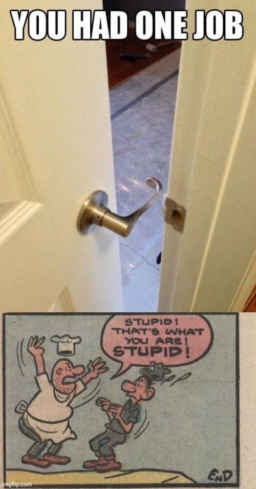How the hell would that even fit!? | image tagged in stupid that's what you are stupid,door,fit,excuse me what the heck | made w/ Imgflip meme maker
