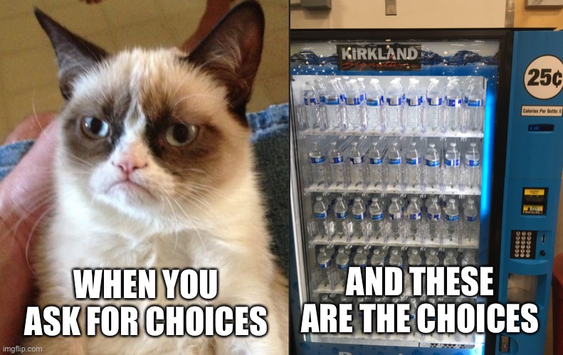 They gave me a choice... | AND THESE ARE THE CHOICES; WHEN YOU ASK FOR CHOICES | image tagged in memes,grumpy cat,aww they don t have my favorite | made w/ Imgflip meme maker