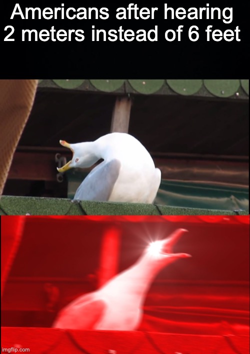 Americans after hearing 2 meters instead of 6 feet | image tagged in black background,screaming bird,memes | made w/ Imgflip meme maker